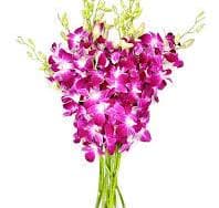 Purple Orchid Spray