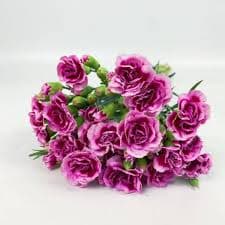 Fashion Prince Spray Carnation