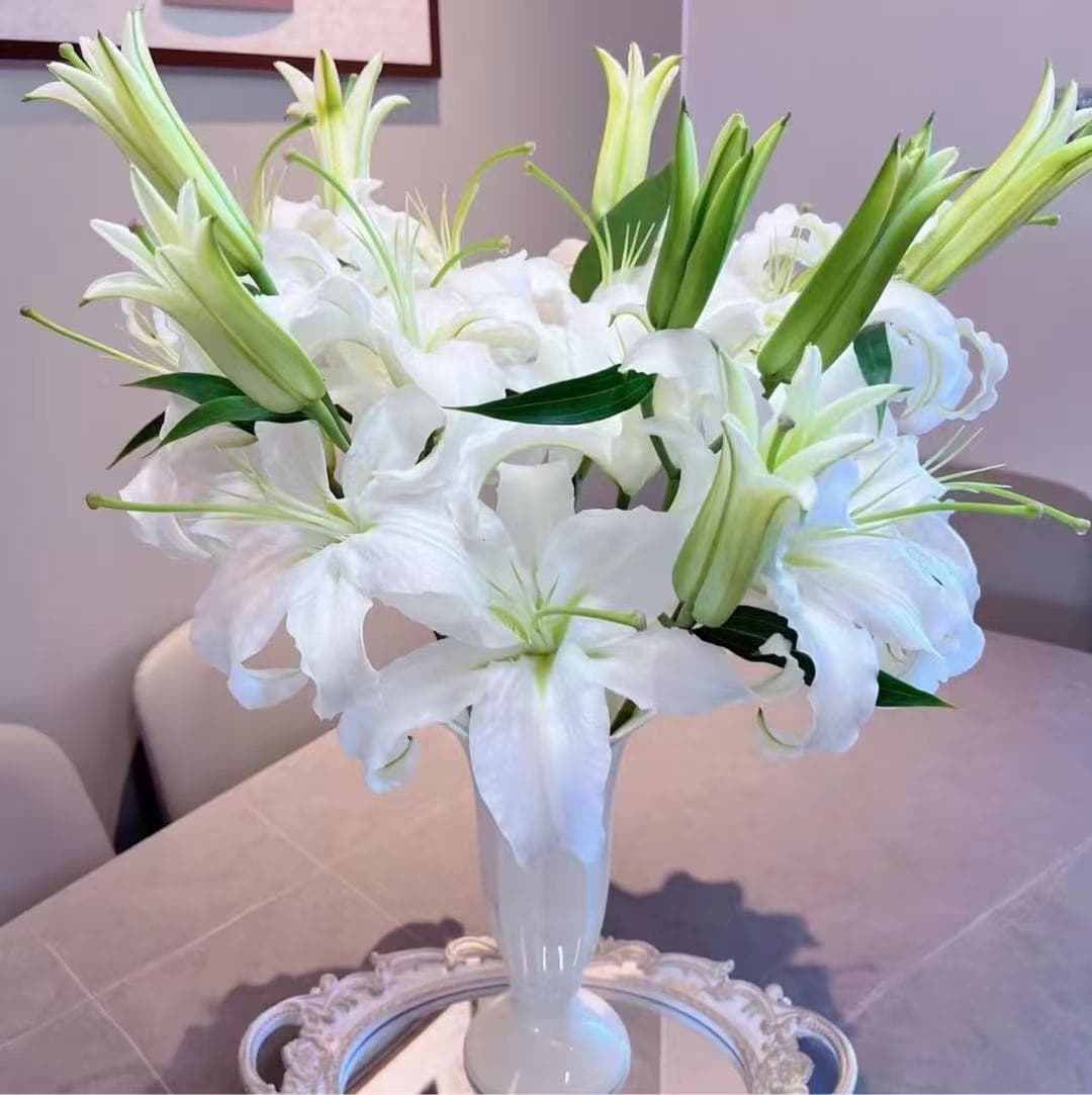 3-head White Lily