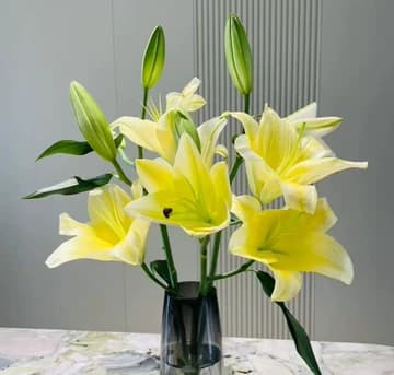 3-head Yellow Lily