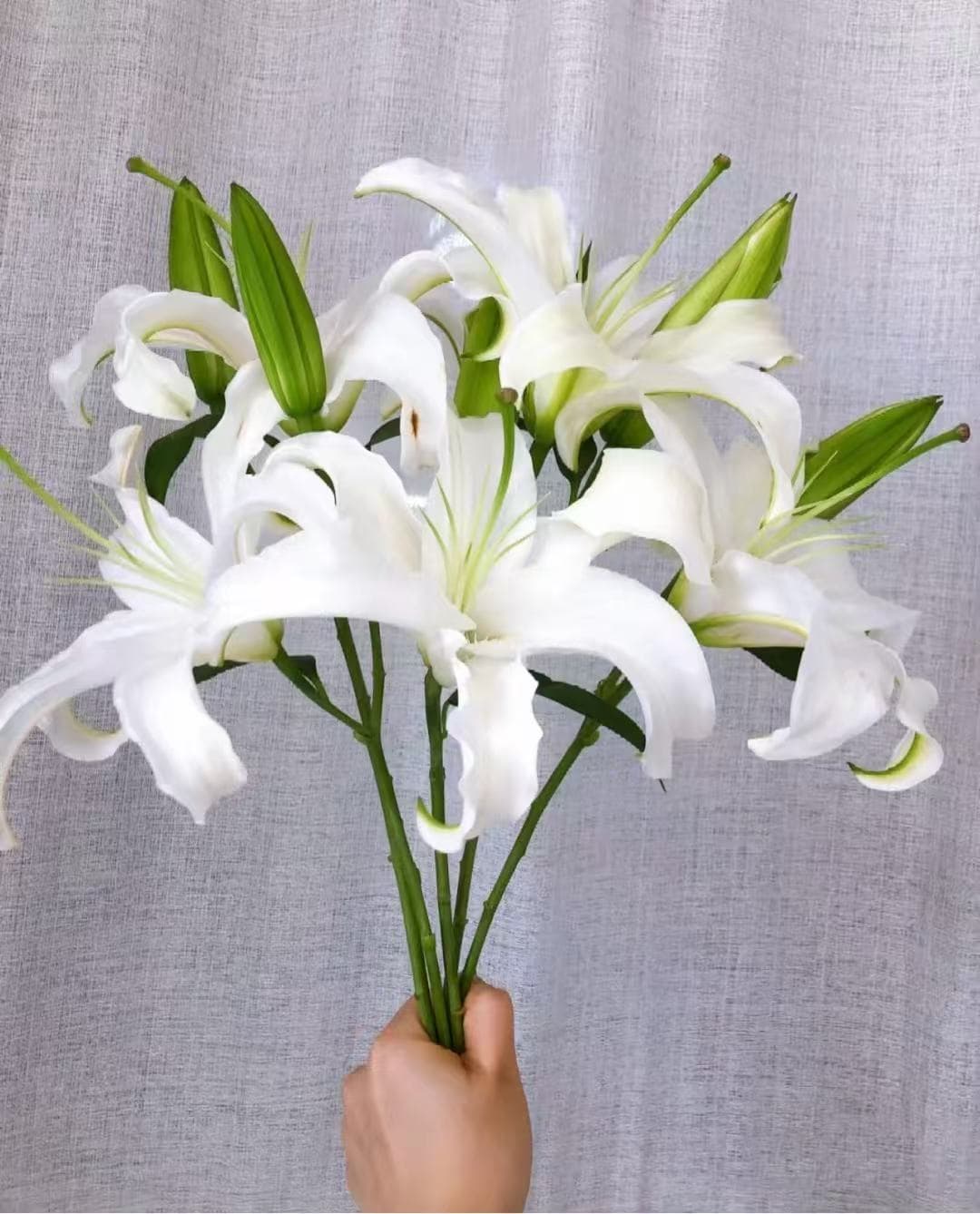 1-head White Lily