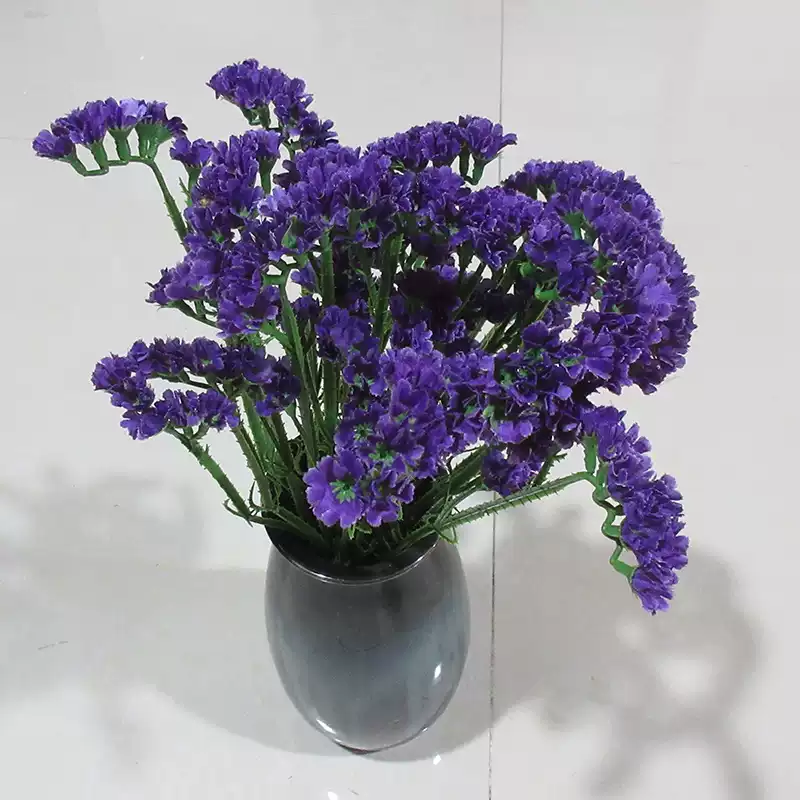 Purple Statice