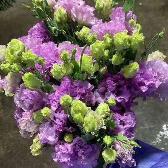 Wave Light Purple Lisianthus