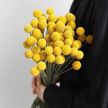 Golden Ball