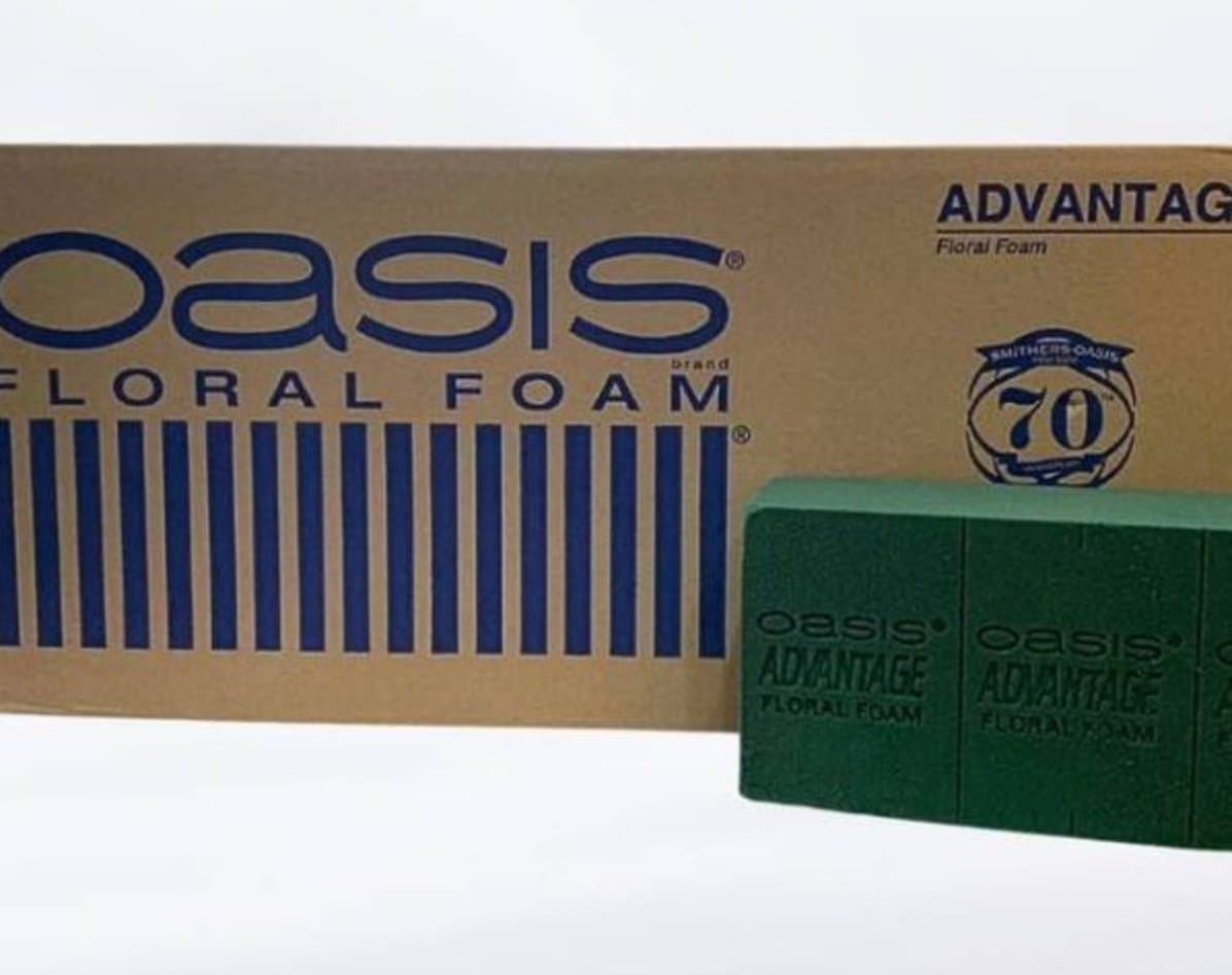 Oasis
