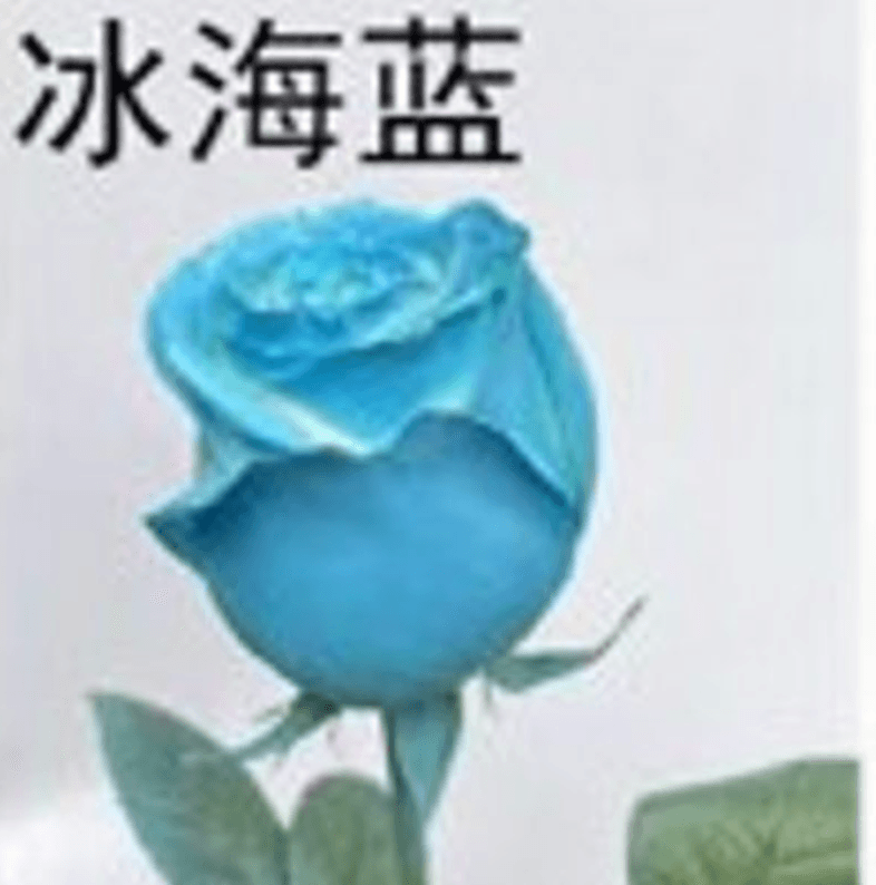 สเปรย์-ฟ้าทะเล