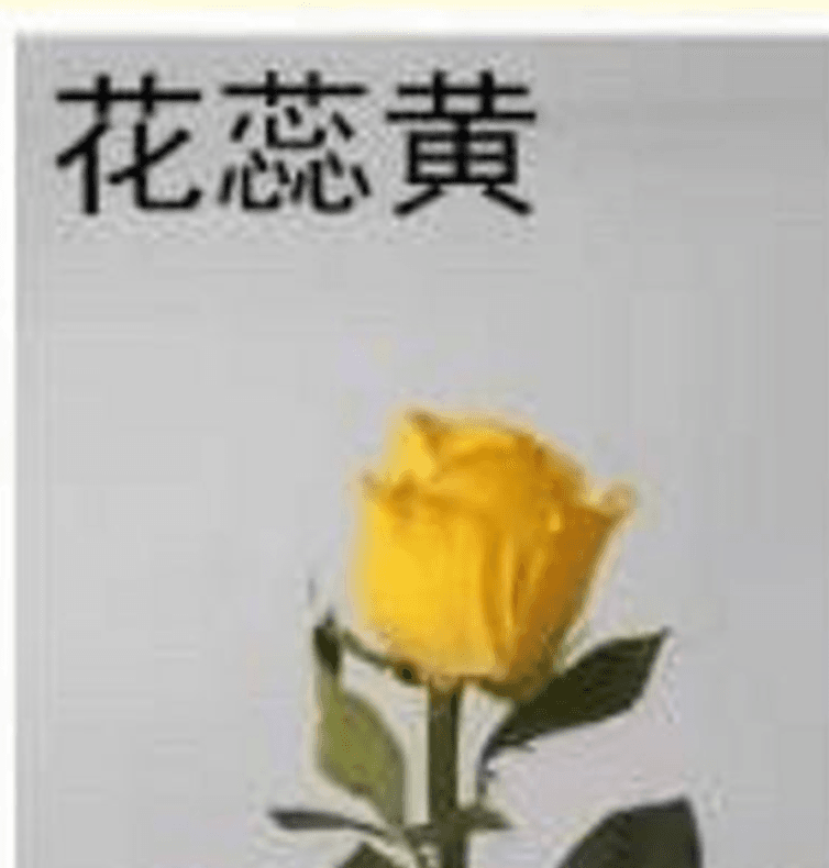 สเปรย์-เหลือง