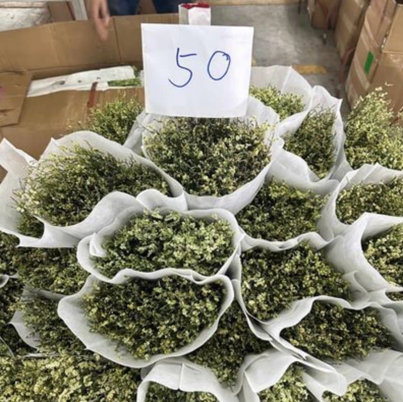 สุ่ยแห้ง50บาท 水晶草干花50泰铢