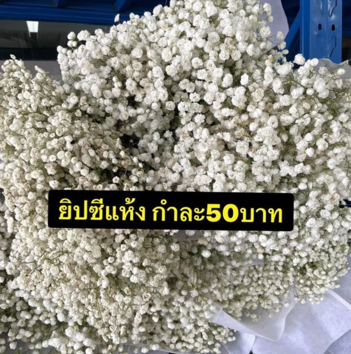 ยิปซีแห้ง