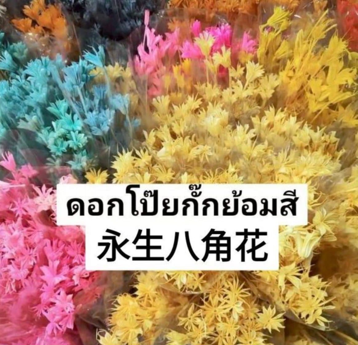 โป๊ยกั๊กแห้ง/永生八角花