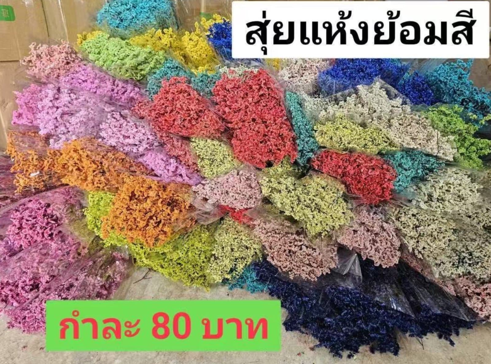 永生水晶草