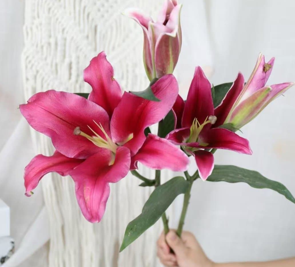 3-head Red Lily
