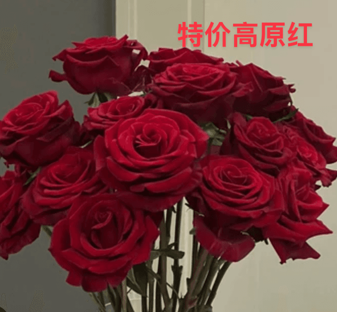 特价高原红