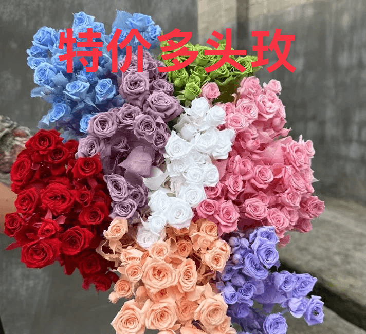 特价多头玫