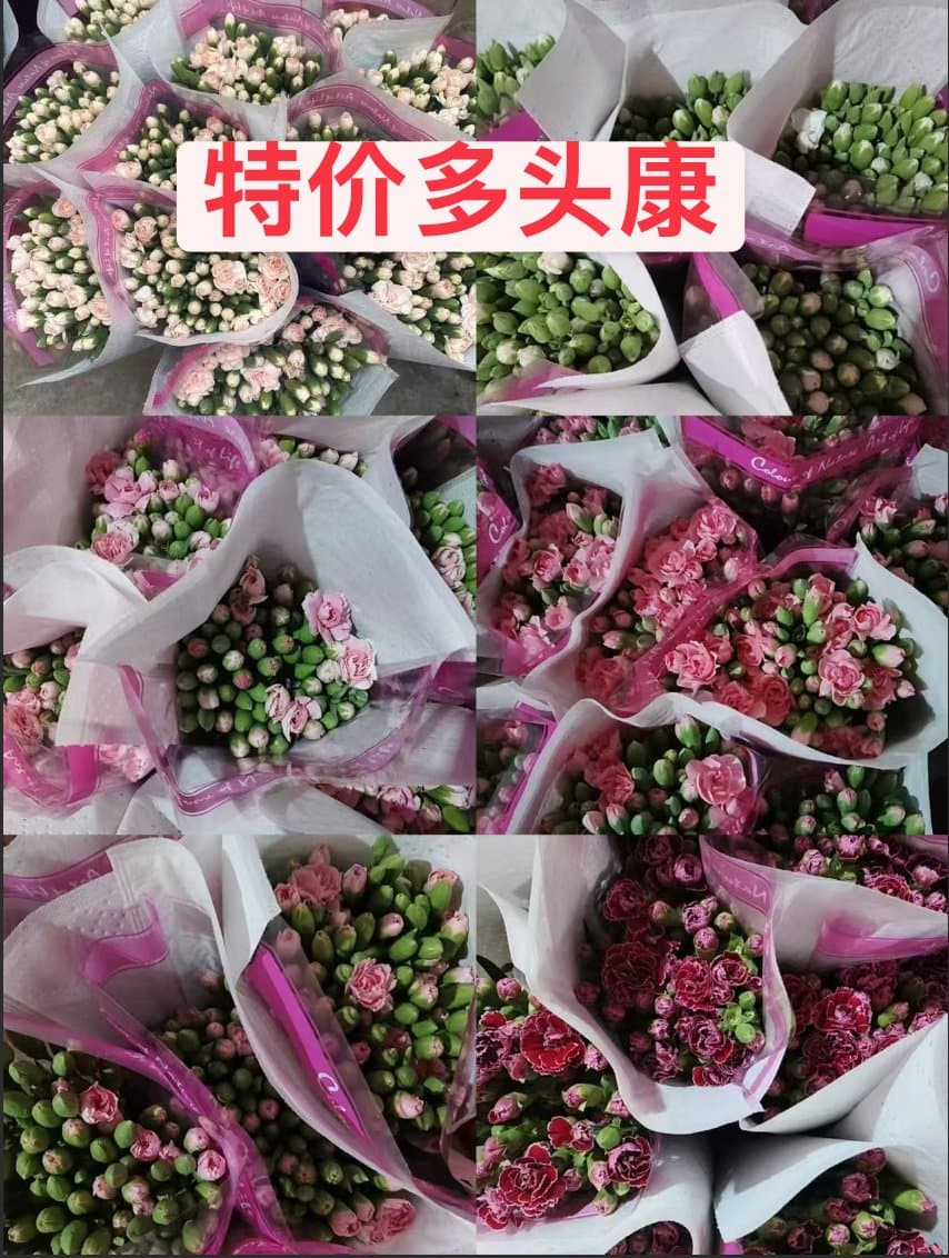 特价多头康